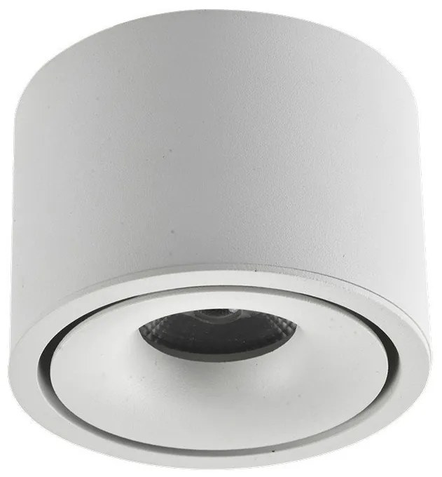 Spot LED aplicat tavan COSTA 12W CCT SWITCH