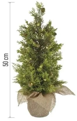 Decorațiune de Crăciun LED 30xLED/3xAA IP44