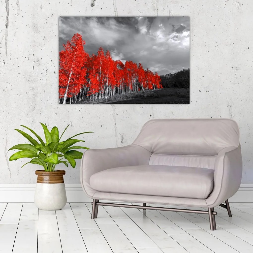 Tablou - Copaci în culorile toamnei (90x60 cm)