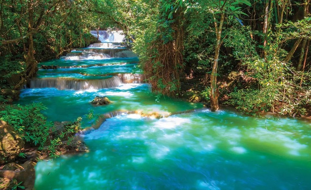 Fototapet - Natura (254x184 cm)
