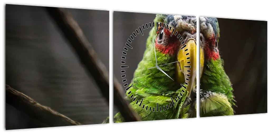 Tablou cu papagal (cu ceas) (90x30 cm)