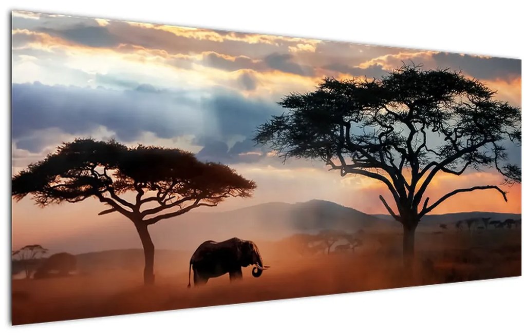 Tablou - Parcul Național Serengeti, Tanzania, Africa (120x50 cm)