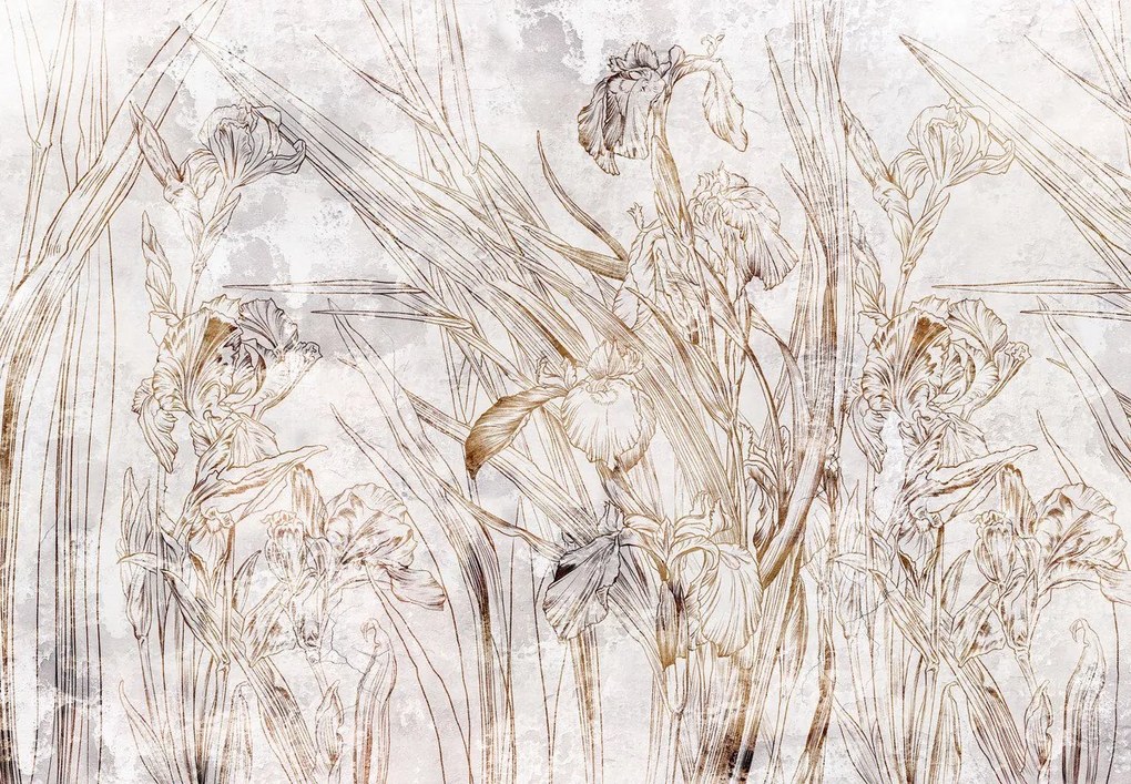 Fototapet - Iriși (147x102 cm)