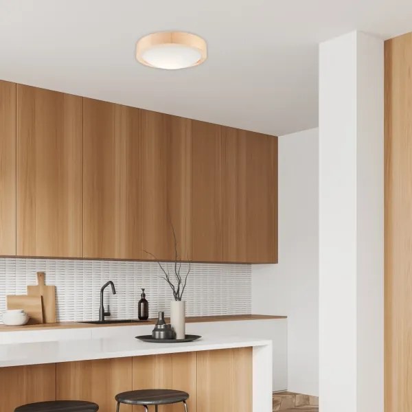 Plafonieră NATURAL SLIM 1xE27/60W/230V ø 27 cm pin