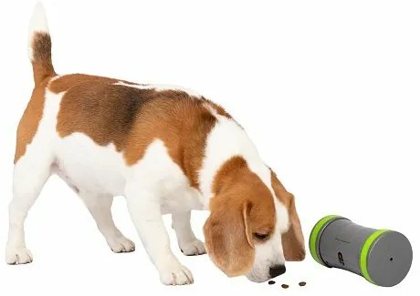 PetSafe® Kibble Chase™ Jucărie electronică pentrucâini