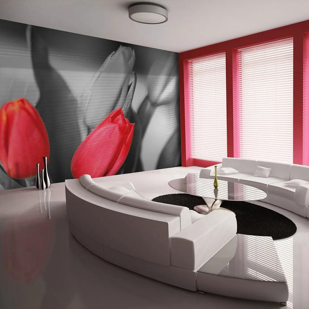 Fototapet Bimago - Red tulips on black and white background + Adeziv gratuit 200x154 cm