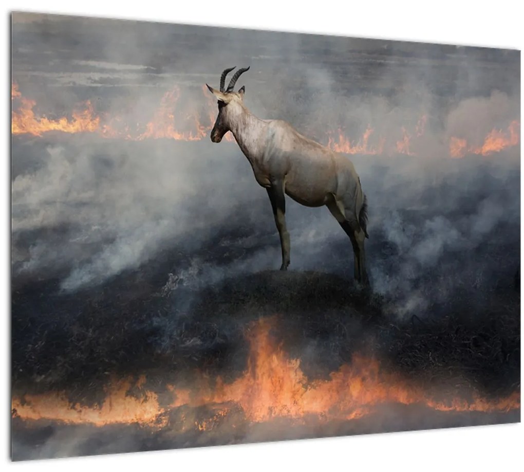 Tablou pe sticlă cu capră de munte în foc (70x50 cm)