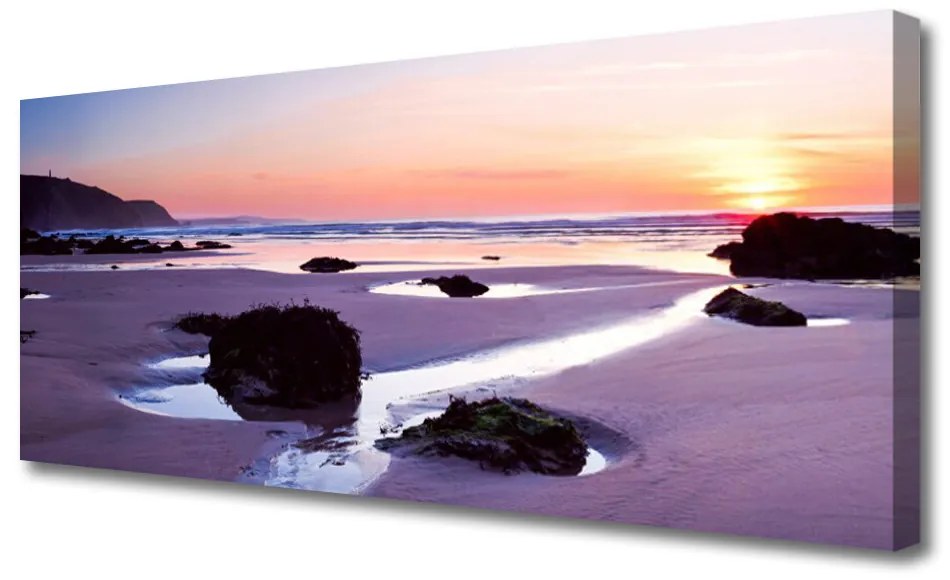 Tablou pe panza canvas Plaja Peisaj Purple