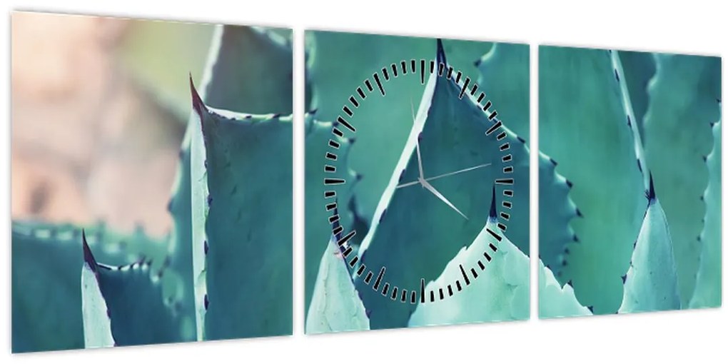 Tablou - Suculent (cu ceas) (90x30 cm)