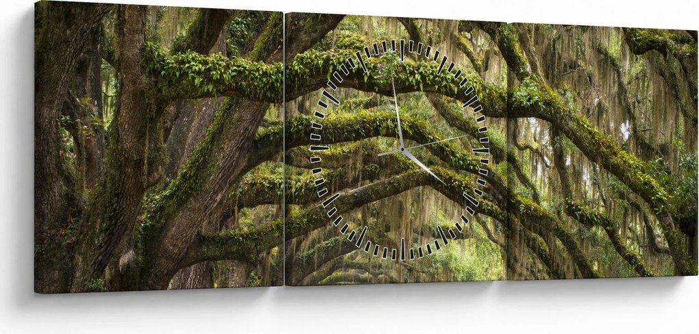 Tablou - Oaks Avenue, Charleston, Carolina de Sud, SUA (cu ceas) (90x30 cm)
