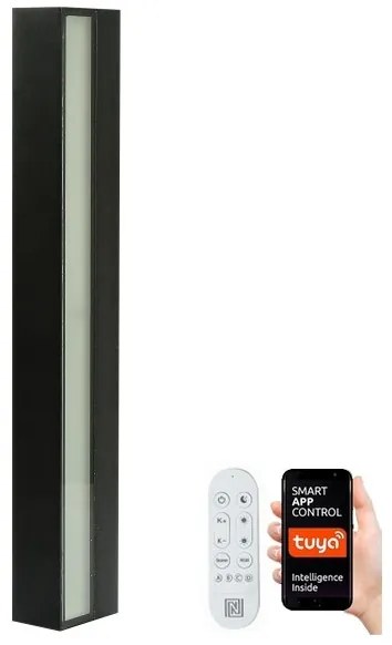Aplică LED dimabilă de exterior Immax NEO 07247L 40W/230V Wi-Fi Tuya IP44 + telecomandă