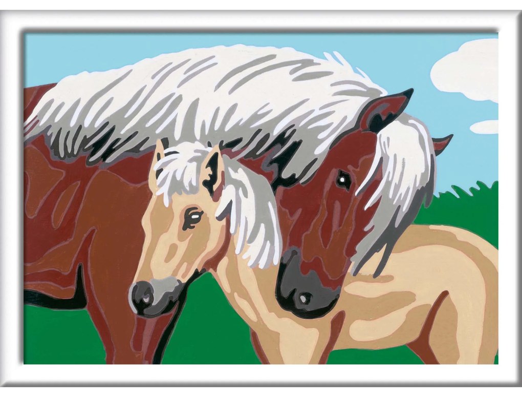 PICTURA PE NUMERE - CALUT SI MANZ - RAVENSBURGER (RVSPBN20075)