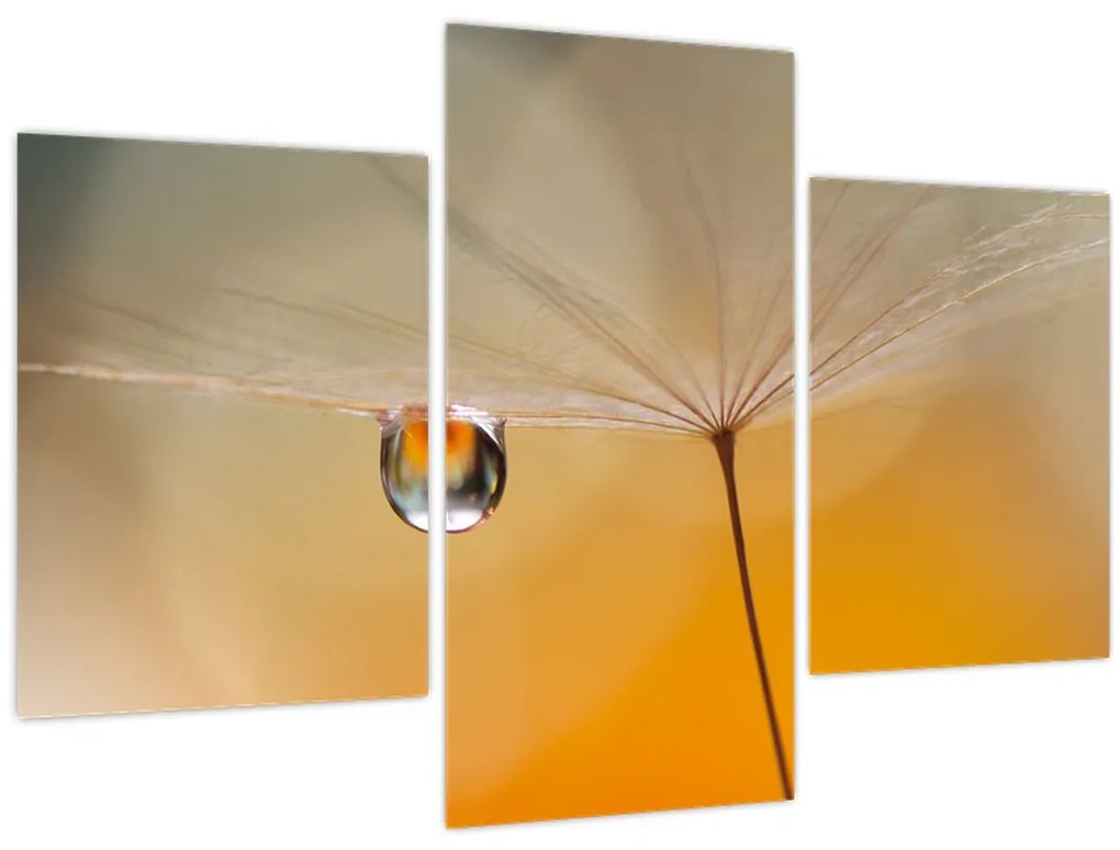 Tablou - Flori macro (90x60 cm)