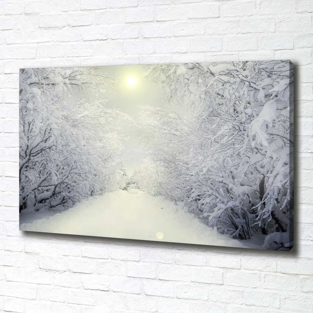 Tablou pe pânză canvas Pădure de iarnă frumos