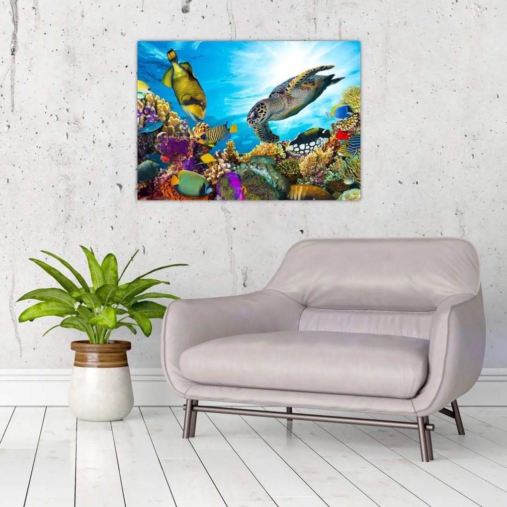 Tablou - Recif de corali (70x50 cm)