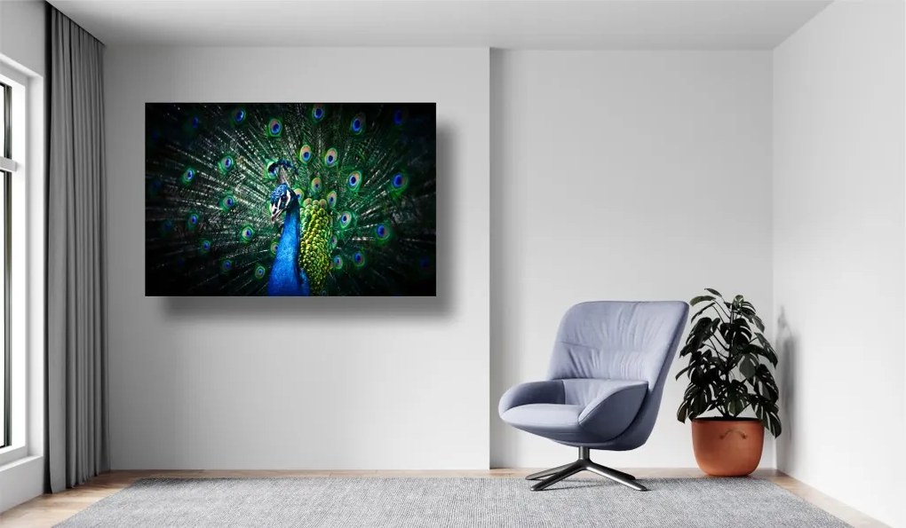 Tablouri Canvas Animale - Paun colorat