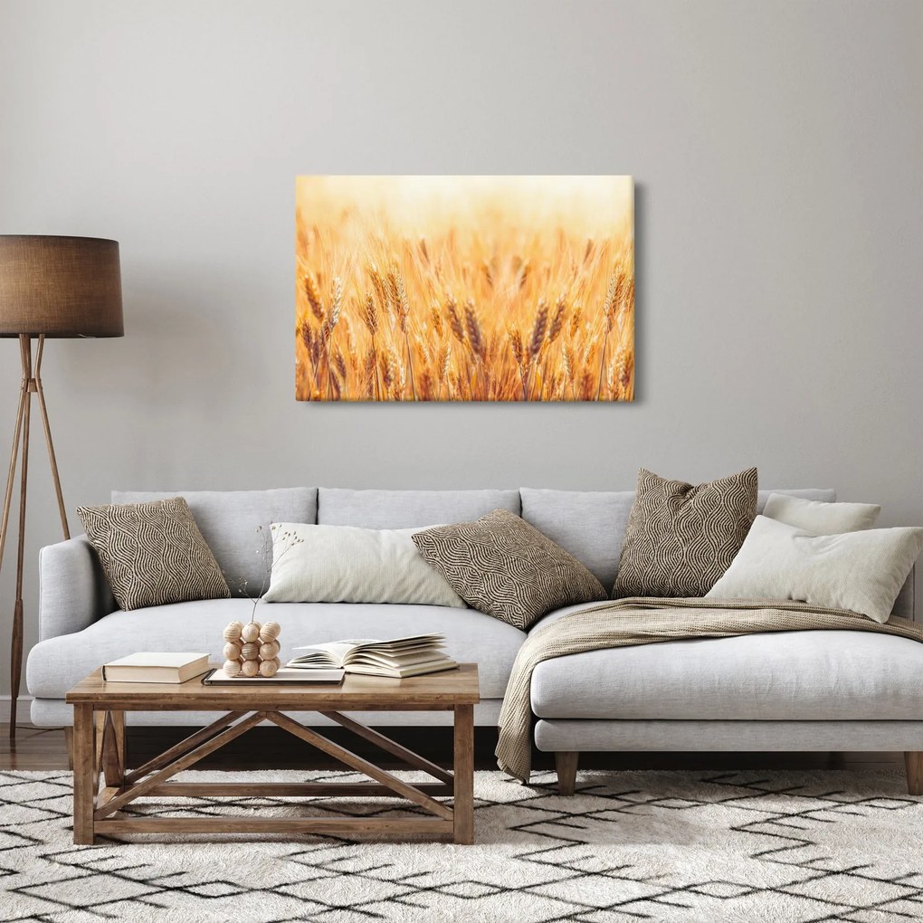Tablou - câmp cu grâne (90x60 cm)