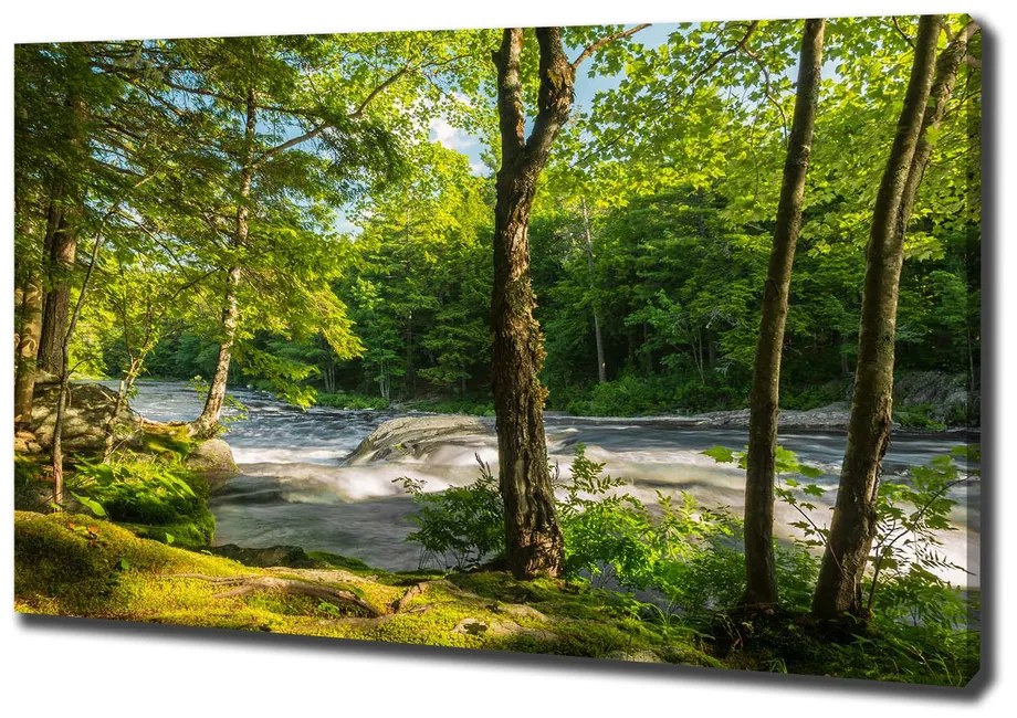 Print pe canvas Râul în pădure