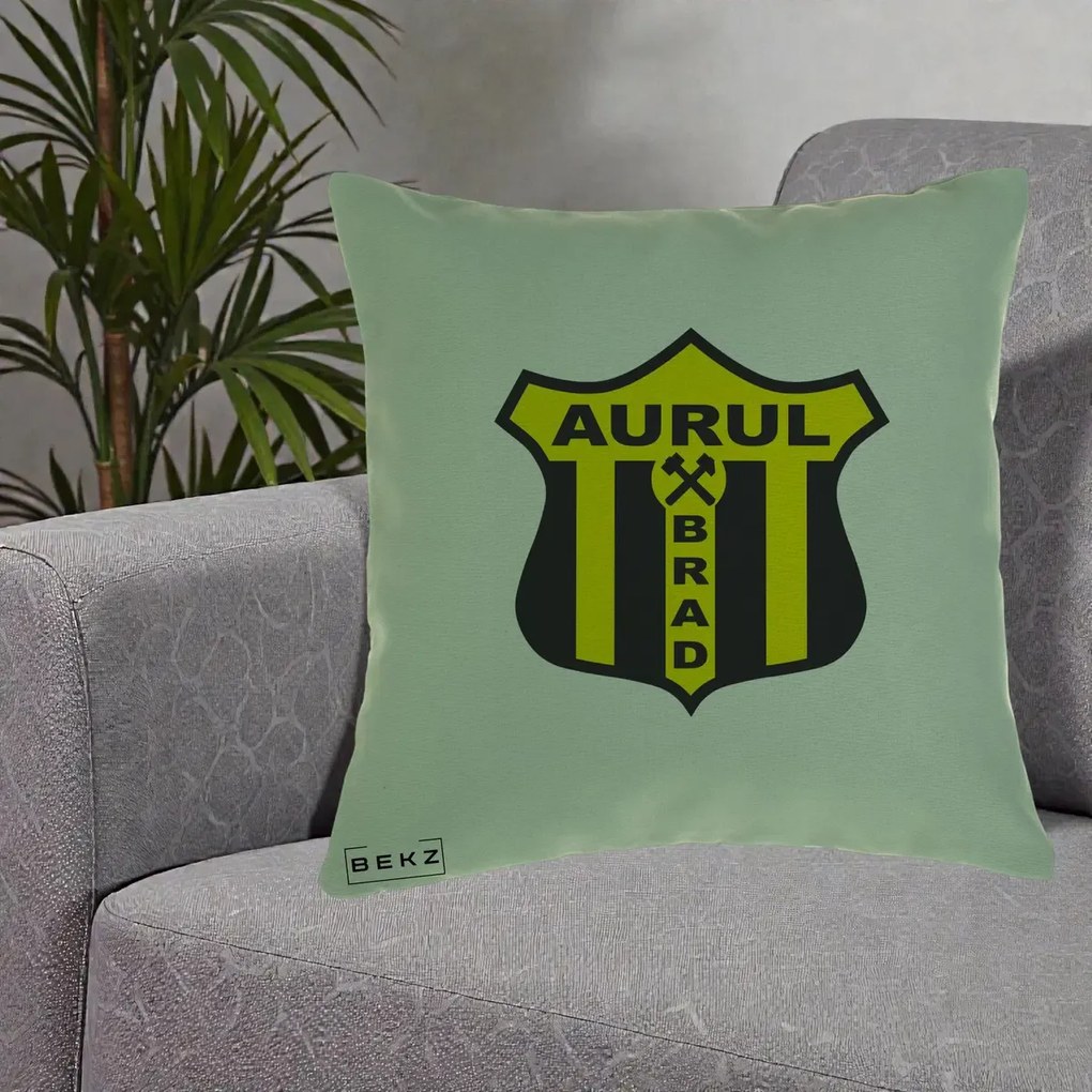 Perna Personalizata Aurul Brad Fotbal, 40x40 cm, Verde, Husa Detasabila, Perna Inclusa, BEKZ®