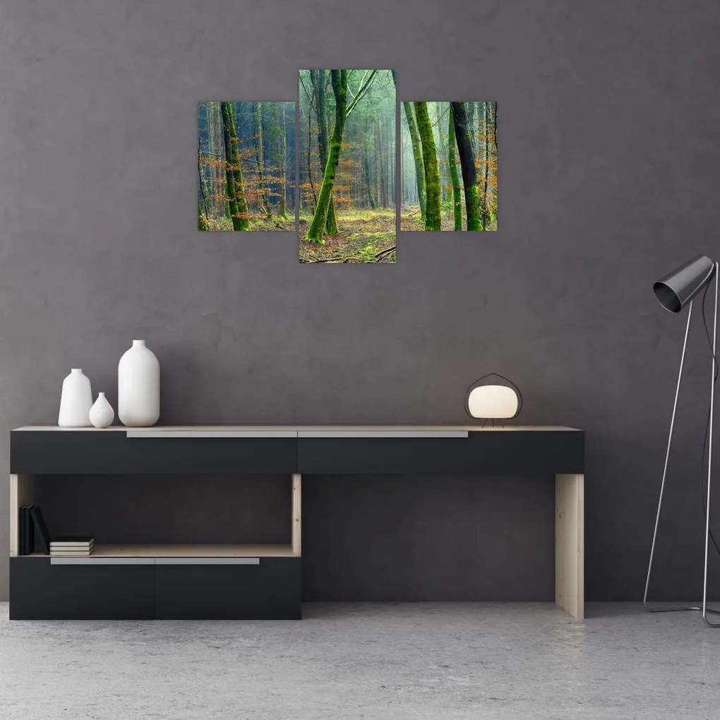 Tablou cu pădure (90x60 cm)