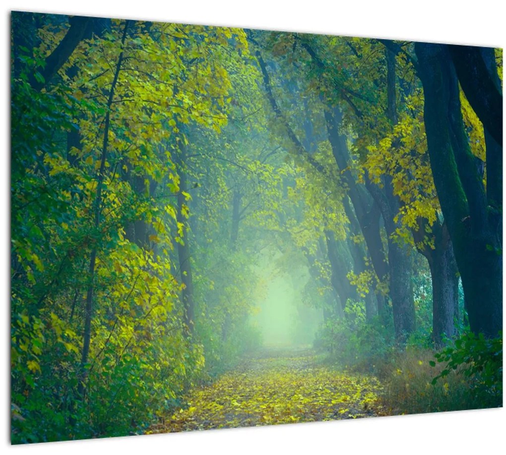 Tablou pe sticlă cu drum dea lungul cu copaci (70x50 cm)