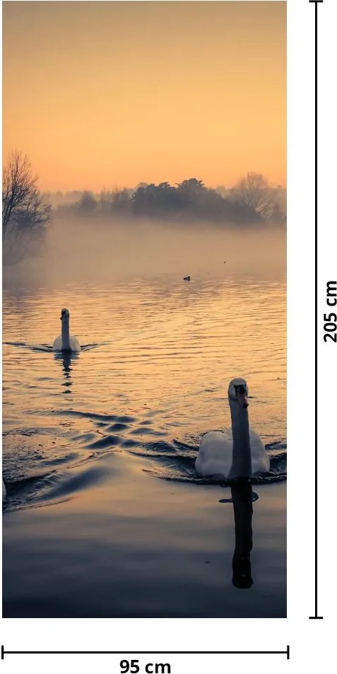 Fototapet pentru ușă - Lebede pe apă în ceață (95x205cm)