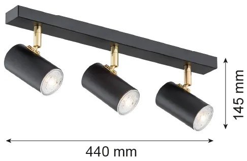 Spot Argon 1476 LAGOS 3xGU10/5W/230V negru/alămiu