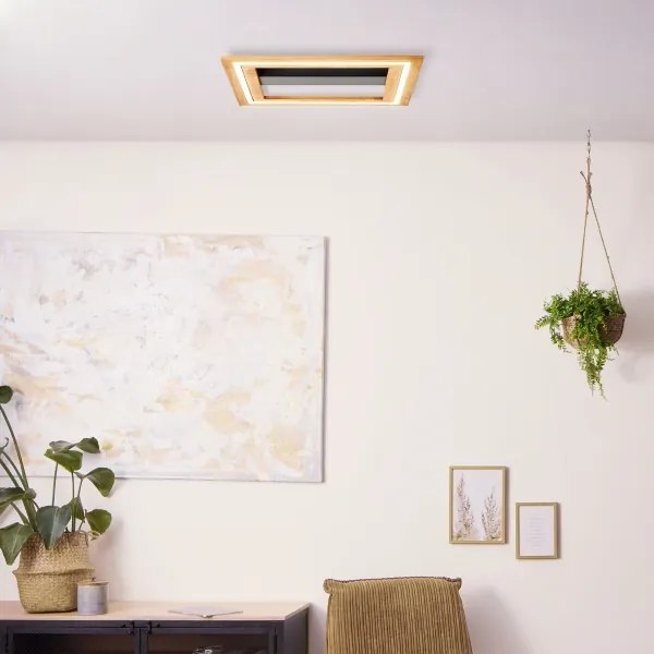 Plafonieră LED dimabilă Brilliant RHEA LED/24W/230V