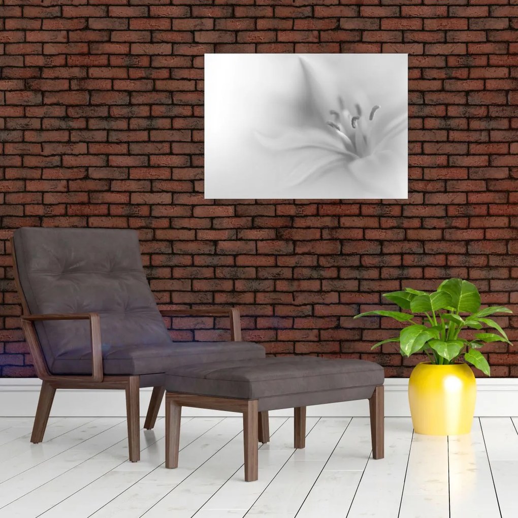Tablou pe sticlă - Crin delicat (70x50 cm)