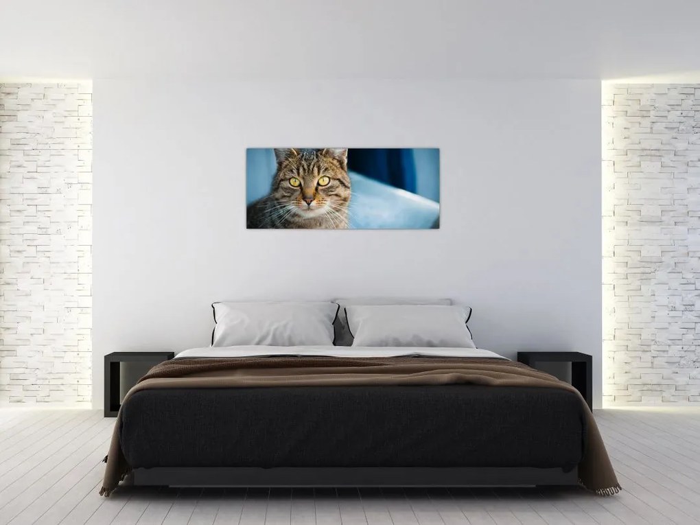Tablou - Pisica domestică (120x50 cm)