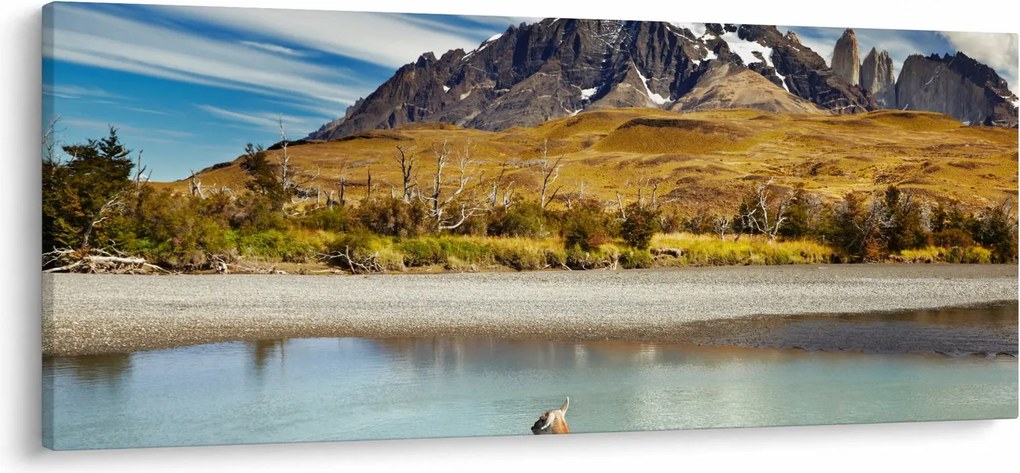 Tablou - Parcul Național Torres del Paine (120x50 cm)