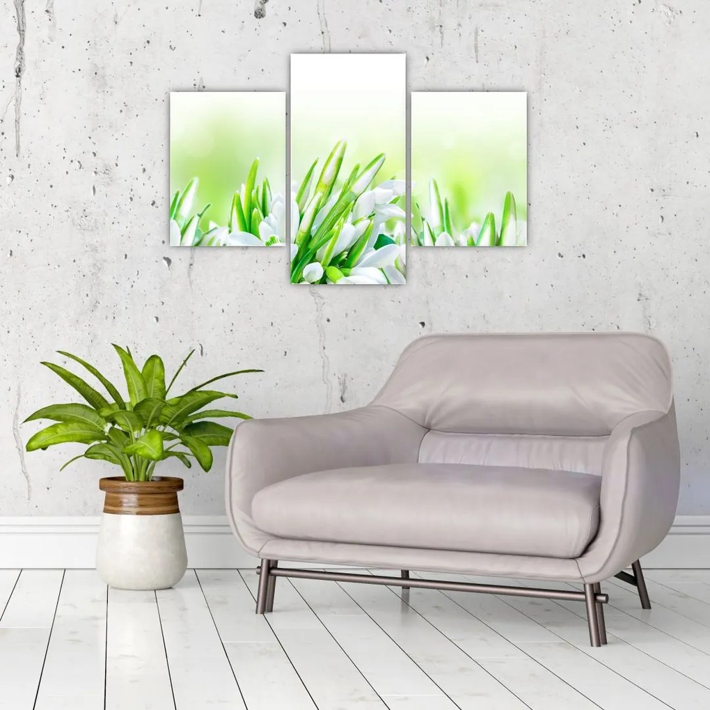 Tablou - Ghiocei (90x60 cm)