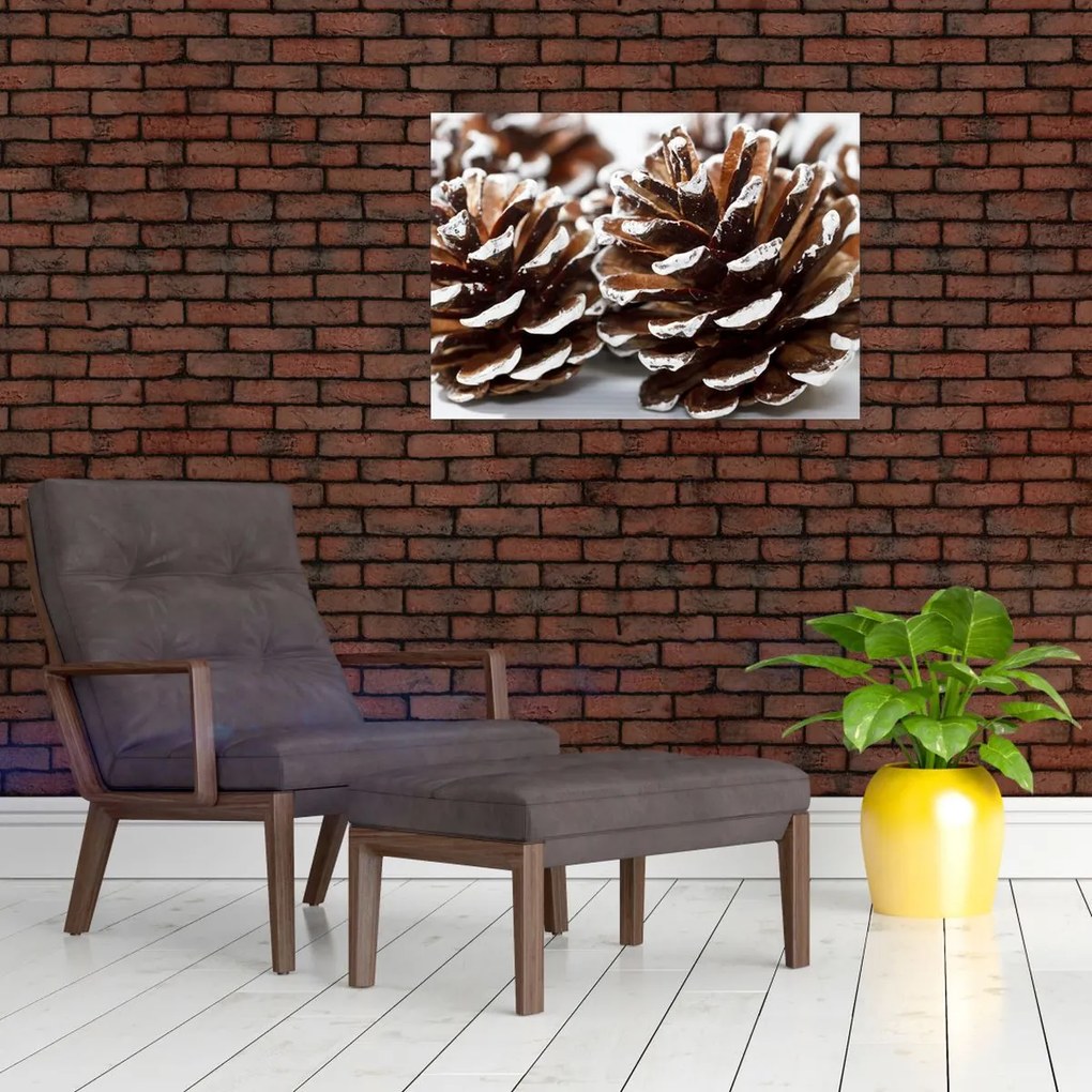 Tablou - Gogoși (70x50 cm)