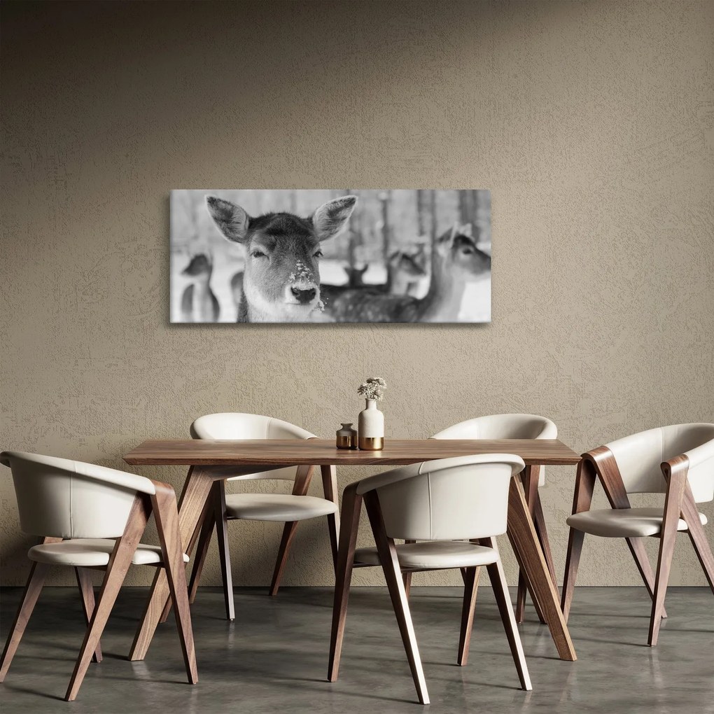 Tablou - Cerbi,alb-negru (120x50 cm)