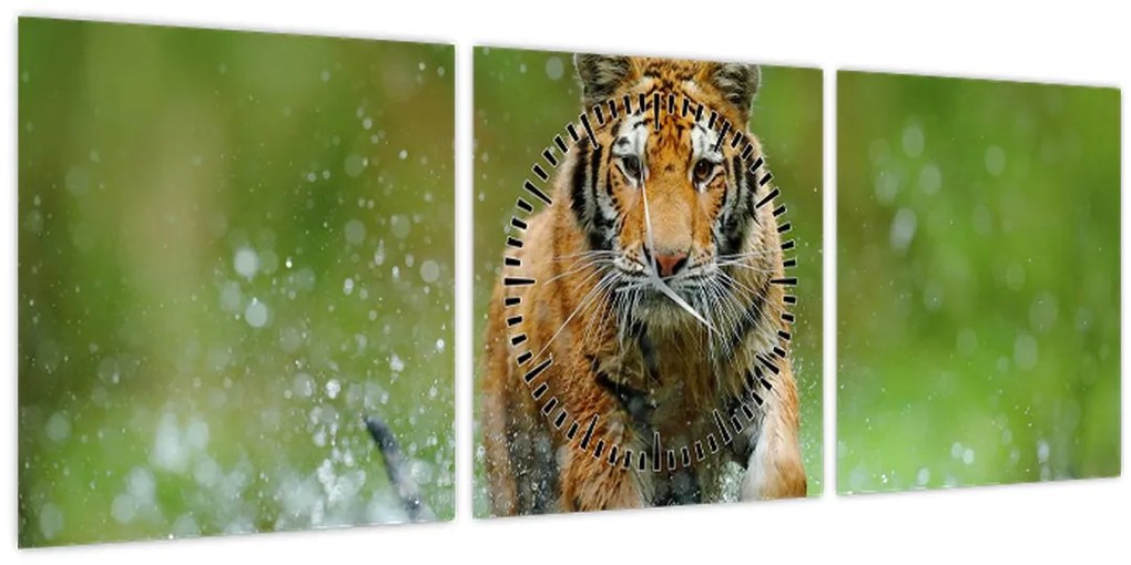 Tablou - Tigru care aleargă (cu ceas) (90x30 cm)