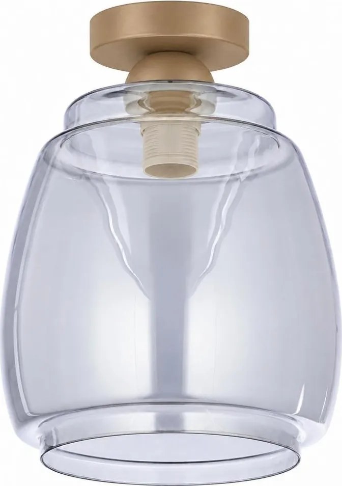 BRILAGI - Plafonieră LED R GLASS 1xE27/60W/230V Ø 26 cm bej/gri fumuriu