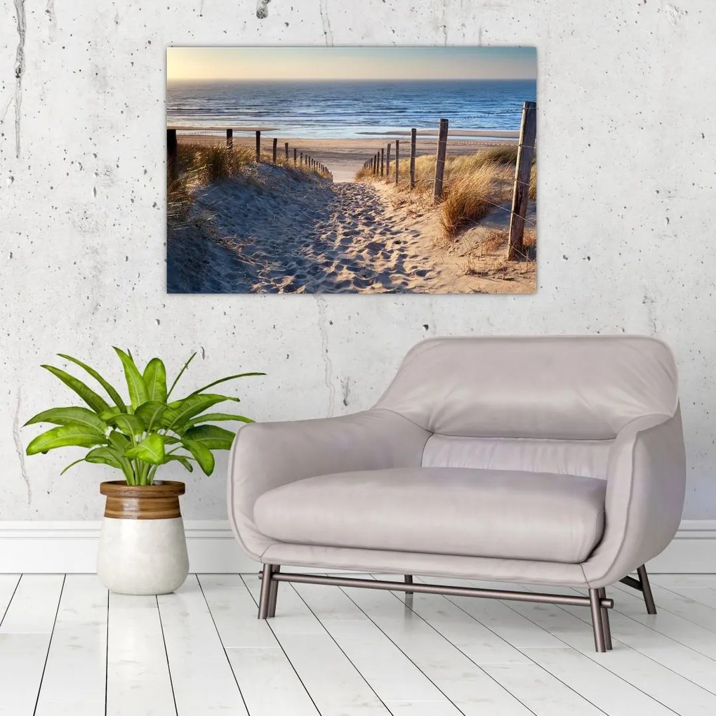 Tablou - Drum spre plaja din Marea Nordului, Țările de Jos (90x60 cm)