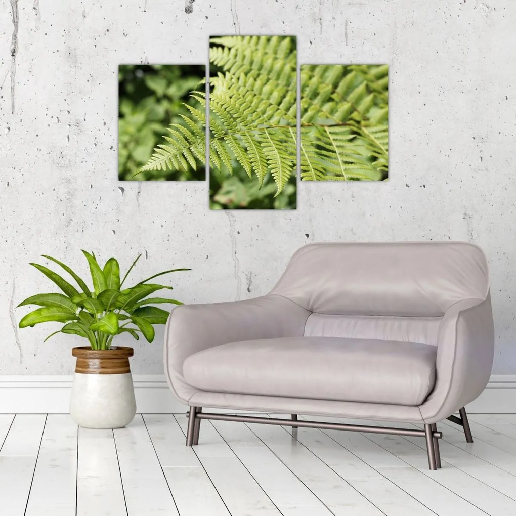 Tablou - Frunză de ferigă (90x60 cm)