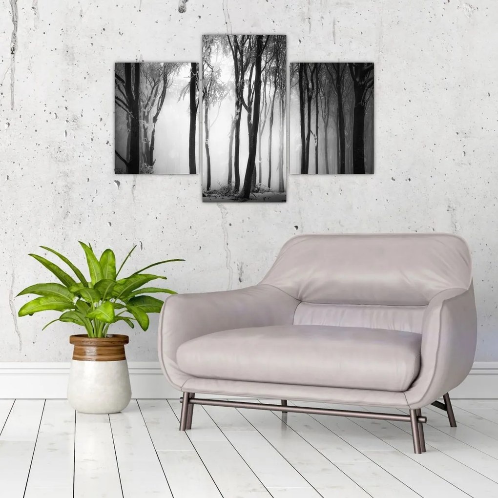 Tablou - Lup în pădurea întunecată (90x60 cm)