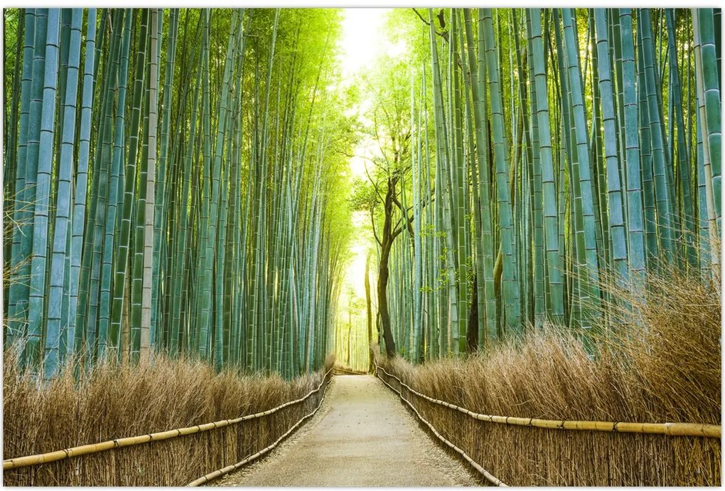 Tablou - Strada cu bambuși (90x60 cm)