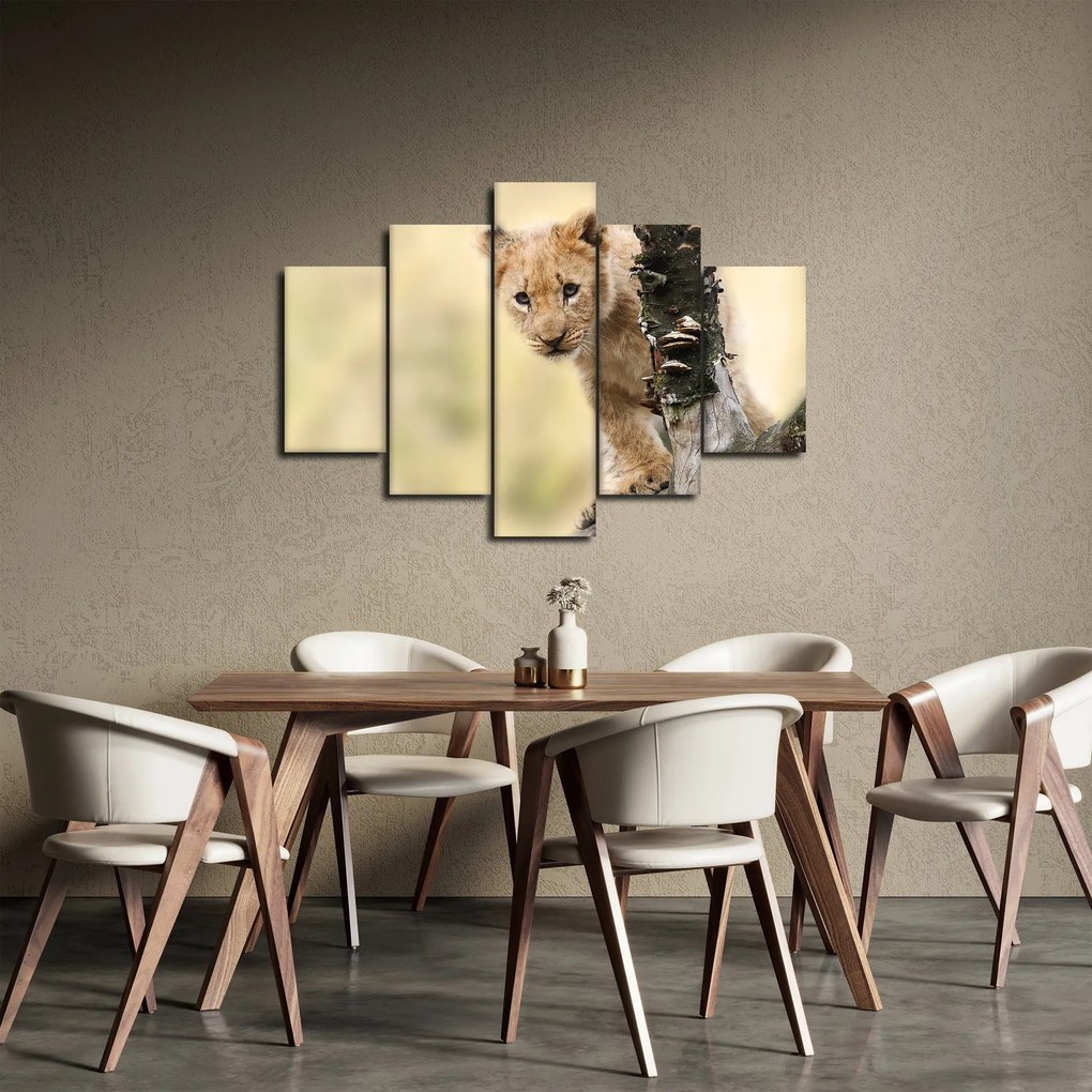 Tablou cu pui de leu (150x105 cm)