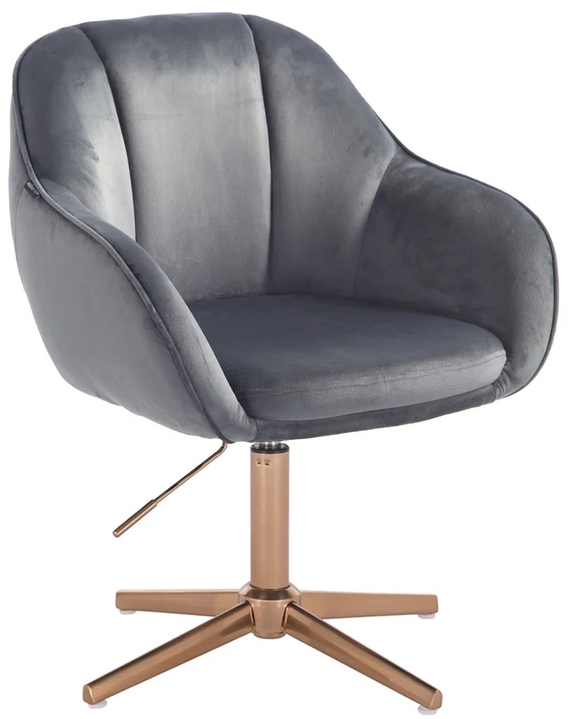 HR2055CROSS Scaun Grafit din Catifea cu Bază Aurie