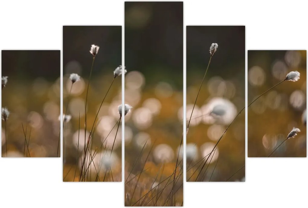 Tablou - Pajiște cu iarbă de cozonac N⁰2 (150x105 cm)