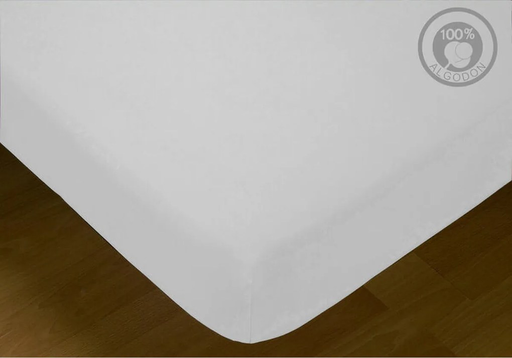 Foaie de fund montată Hosteline IRIS Alb Pat 200