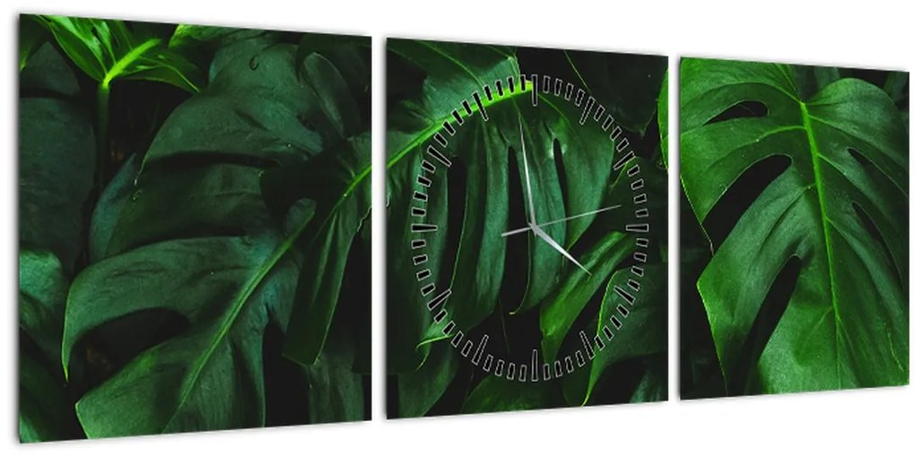 Tablou cu frunze Monstery (cu ceas) (90x30 cm)