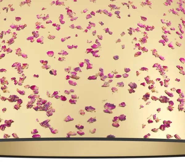 Plafonieră Eglo 390291 CASTUERA 1xE27/25W/230V auriu/roz