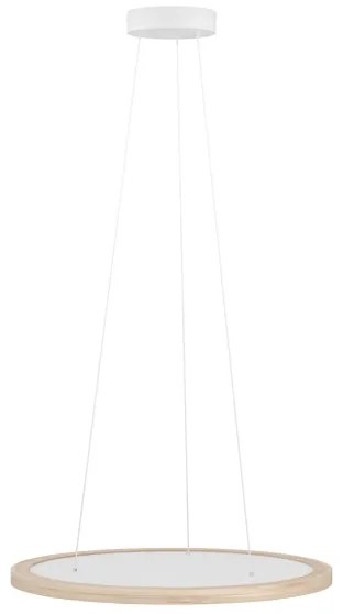 Lustră LED dimabilă pe cablu Eglo 390297 DEHESA LED/36W/230V 4000K