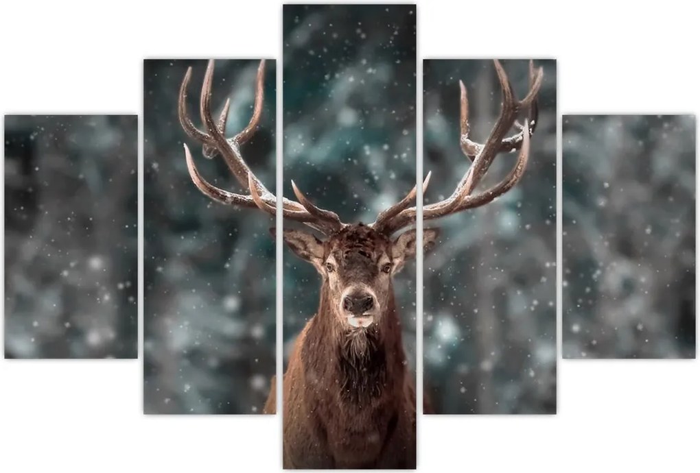 Tablou - Cerbul majestic (150x105 cm)