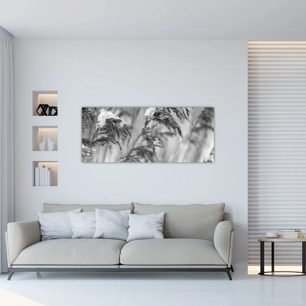 Tablou - Tei,alb-negru (120x50 cm)