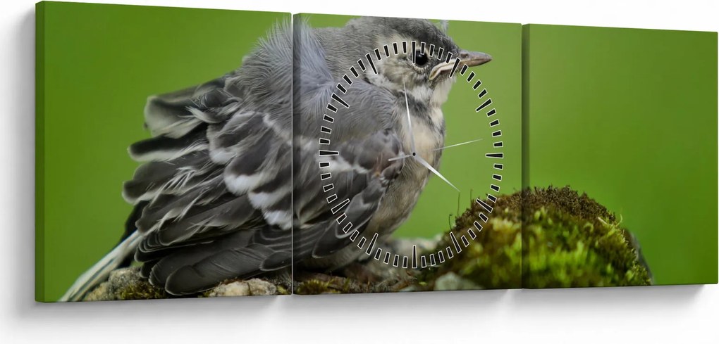 Tablou - Muscarul (cu ceas) (90x30 cm)